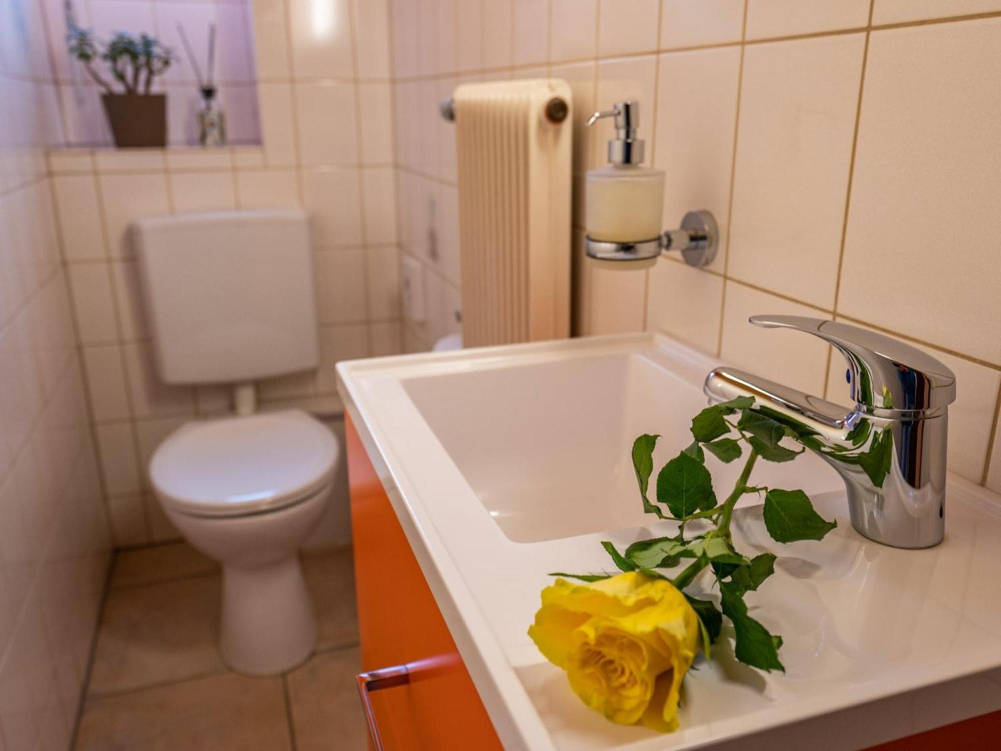 Ferienwohnung Dietsche Тодтнау Экстерьер фото